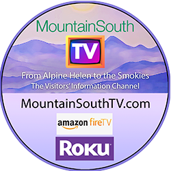 Mountain South TV Logo
